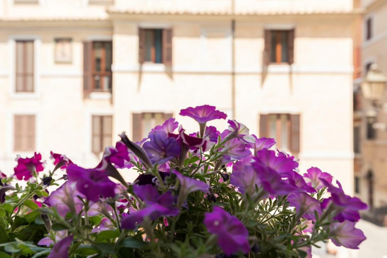 Buongiorno Colosseo Apartment Rome