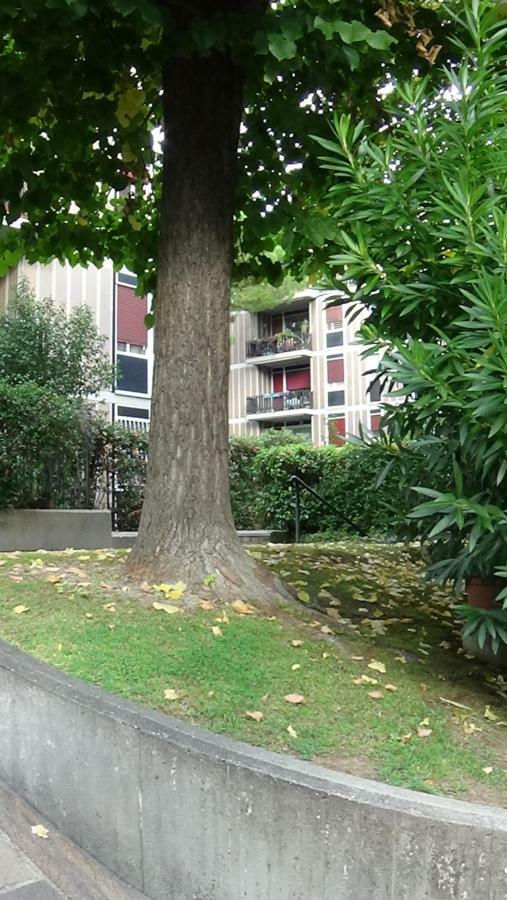 Domus Mariae Apartment *