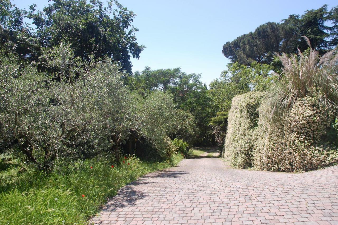 Apartment Domus Quiritum Rome