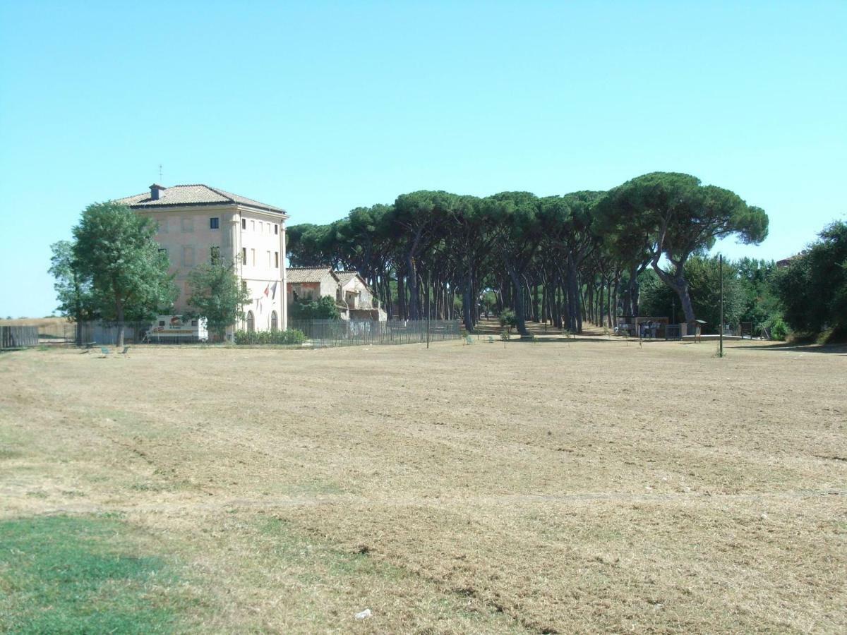 Casa Verde Pineta Rome
