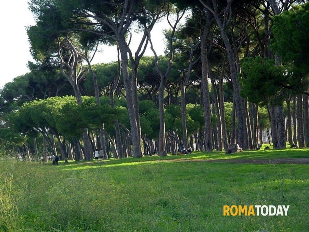 Casa Verde Pineta * Rome