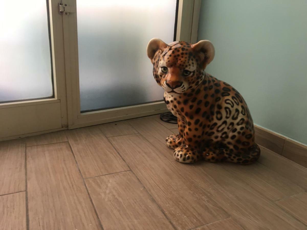 Il Leopardo Roma