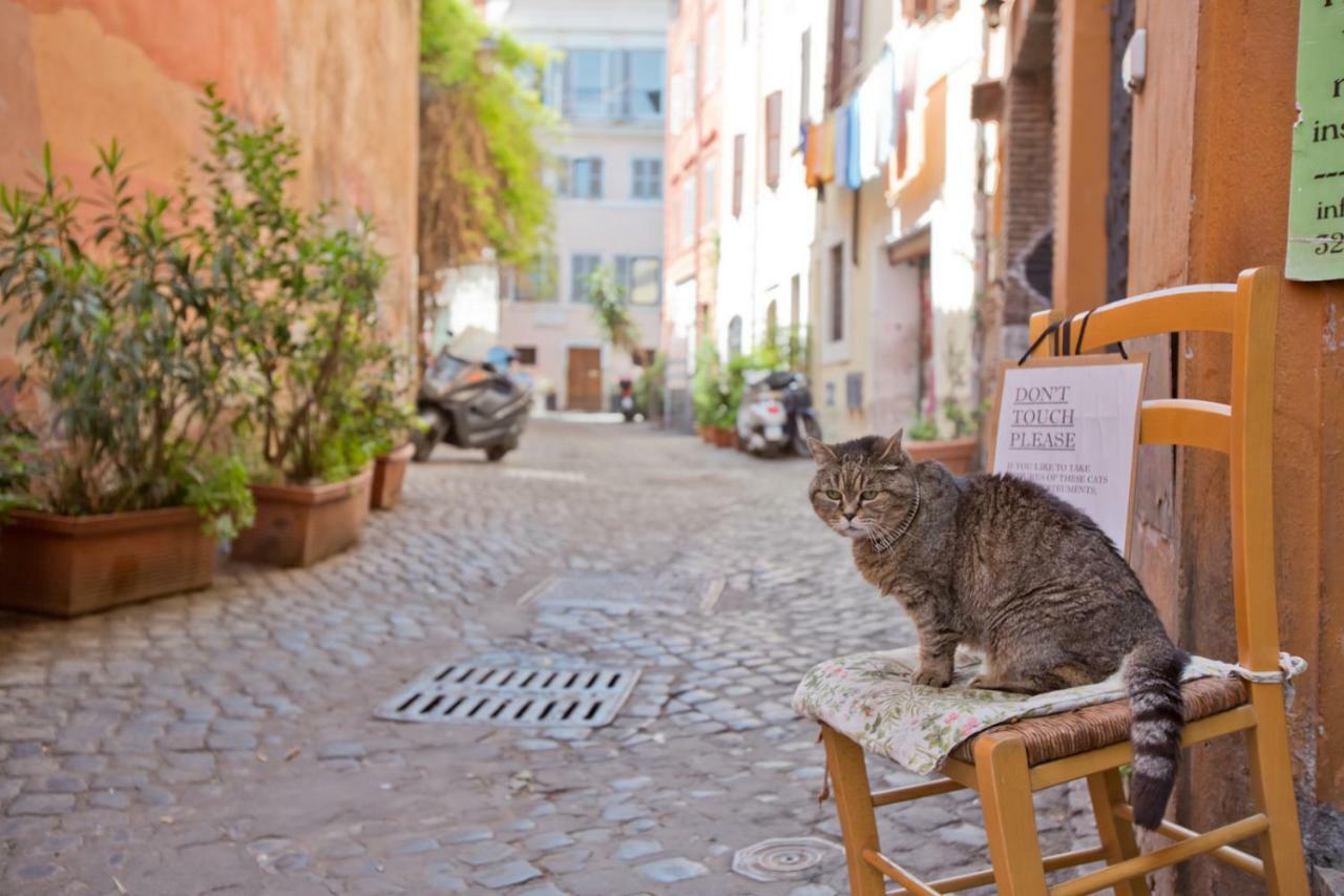 La Bonosa Appartamento Roma