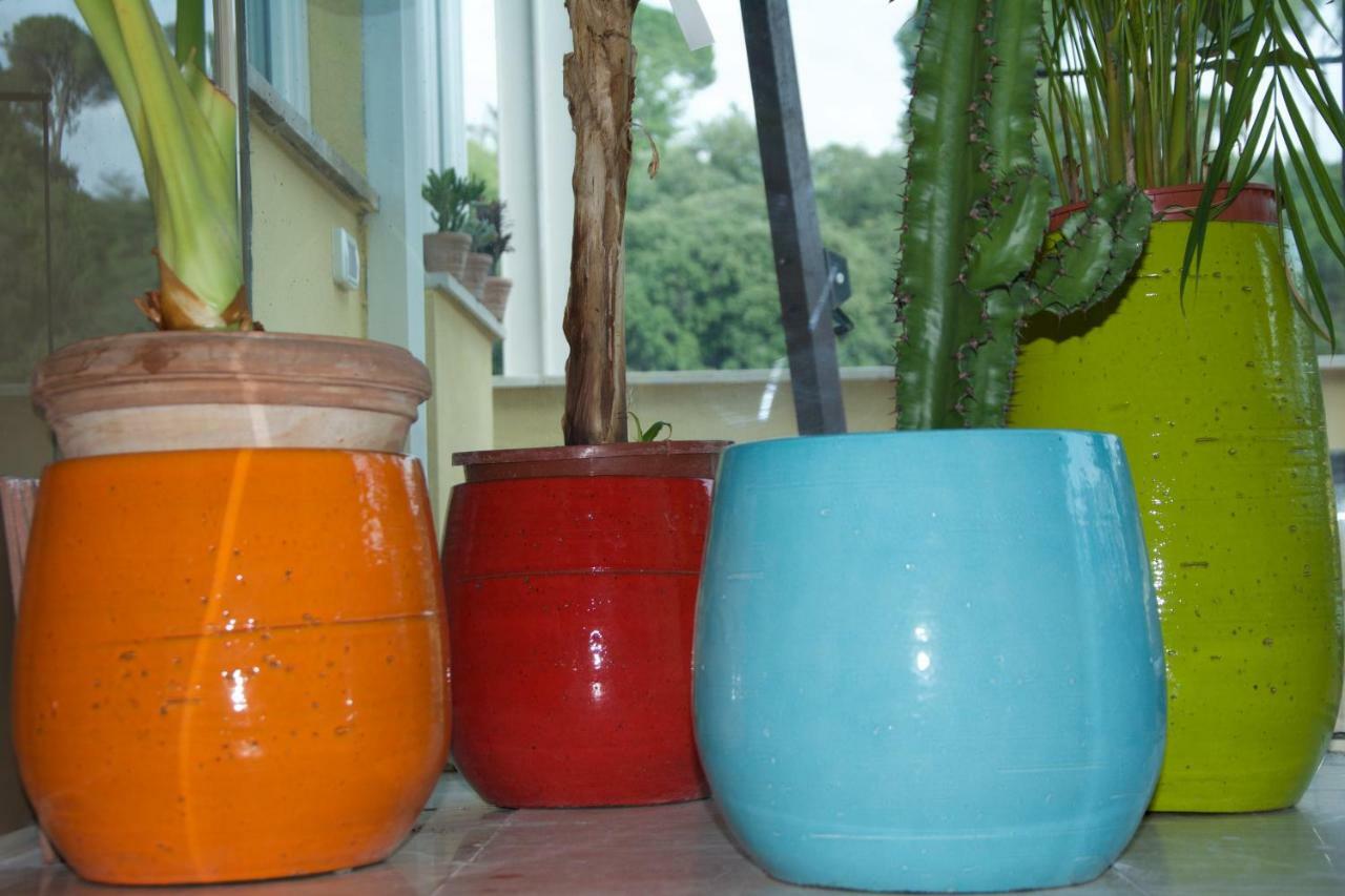 La Terrazza Di Isabel Holiday home