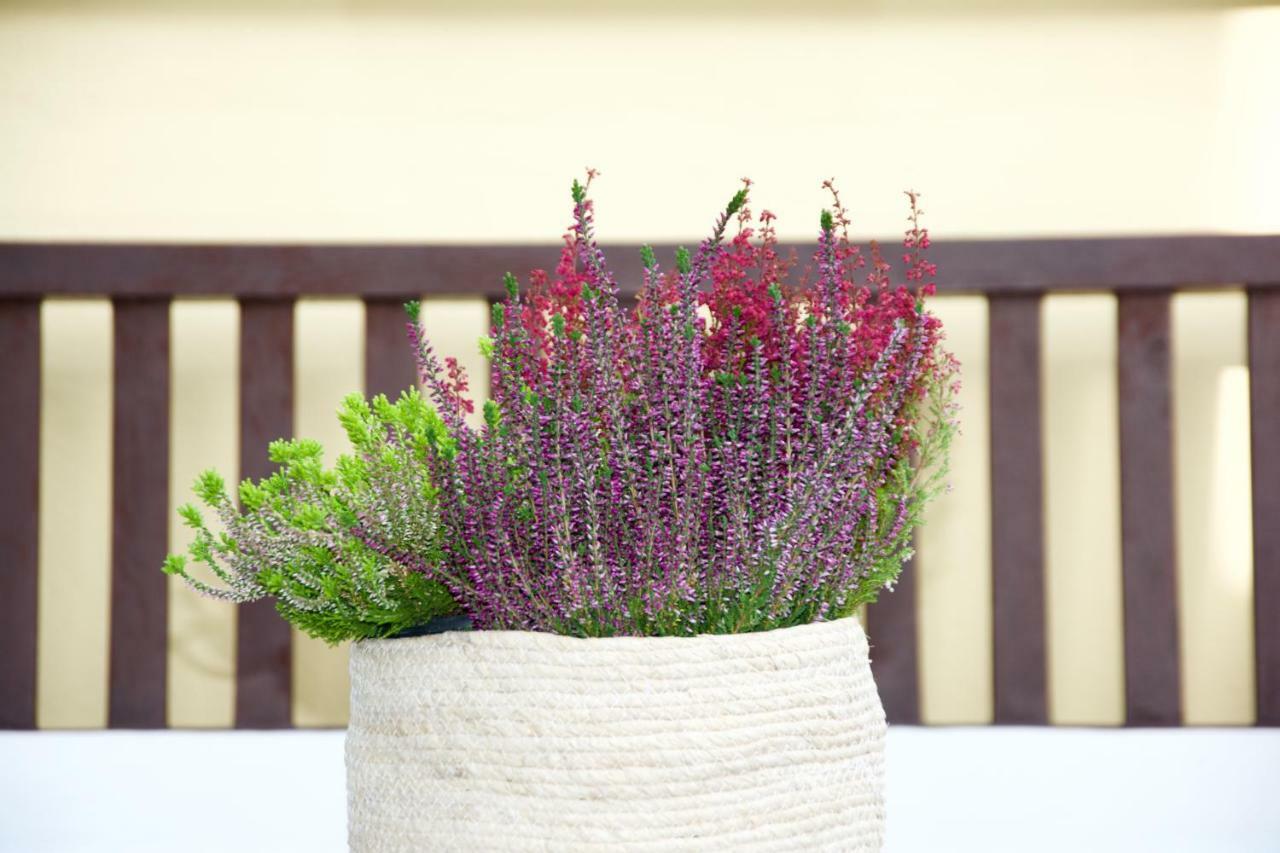 La Terrazza Di Isabel Holiday home *