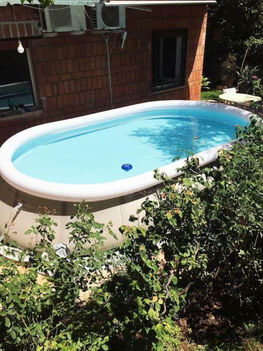 Guest house Garden *