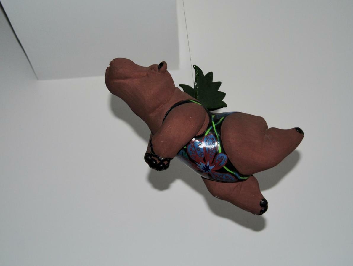 Famiglia Poggi, The Flying Hippo Apartment *