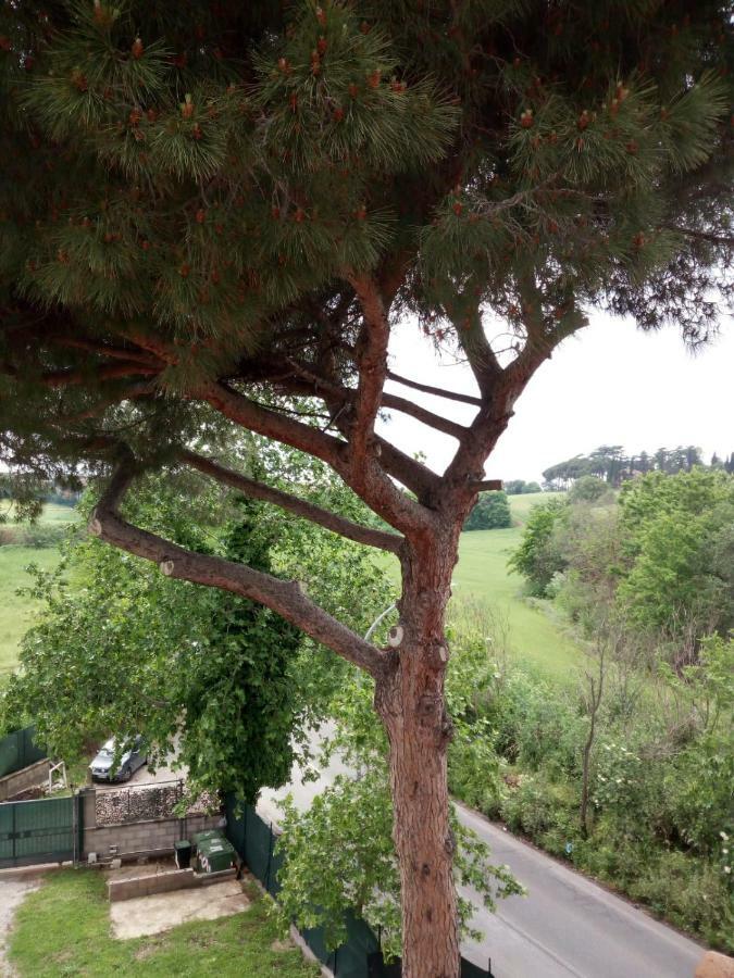 Guest house Casa Da Anna