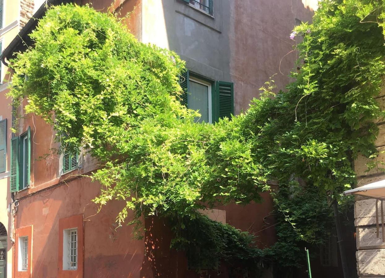 Livinginrome Trastevere - Vicolo Del Piede
