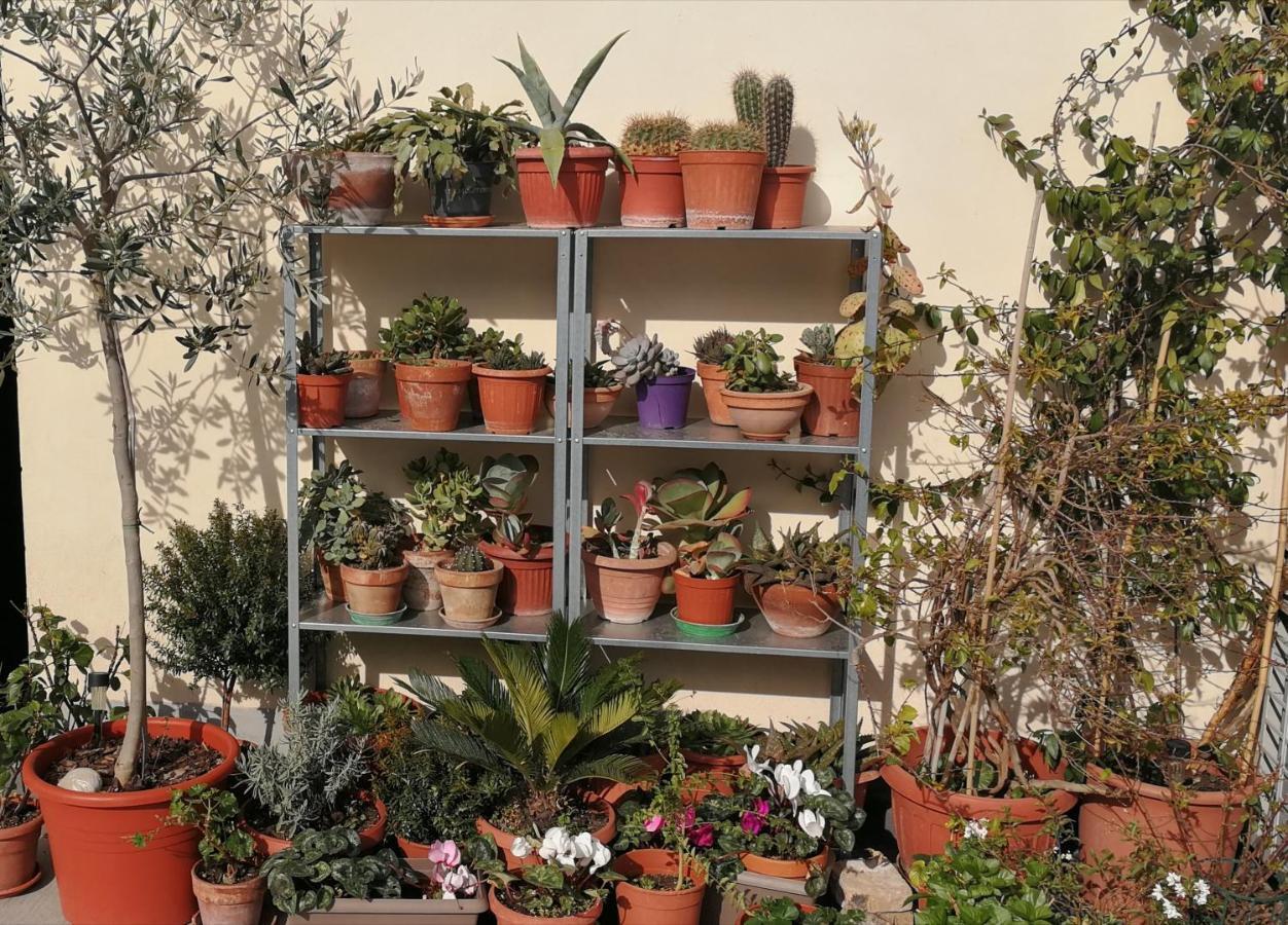Casa Di Ele Affittacamere *