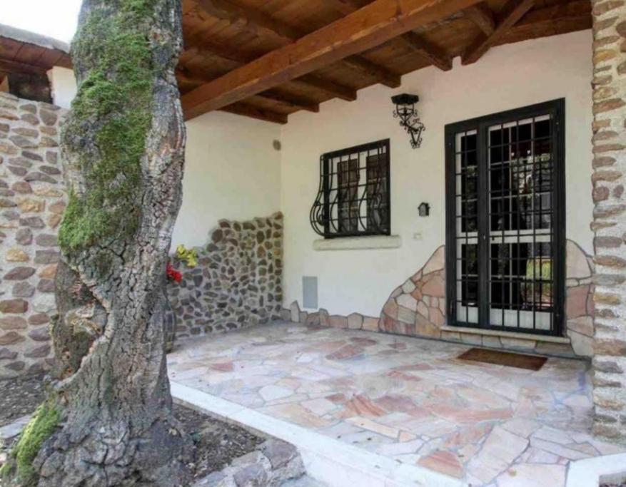Apartment Dal Centurione