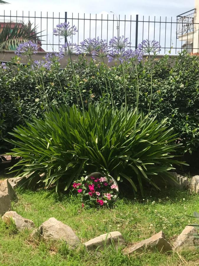 Appartamento Lovely Little In Via Aurelia