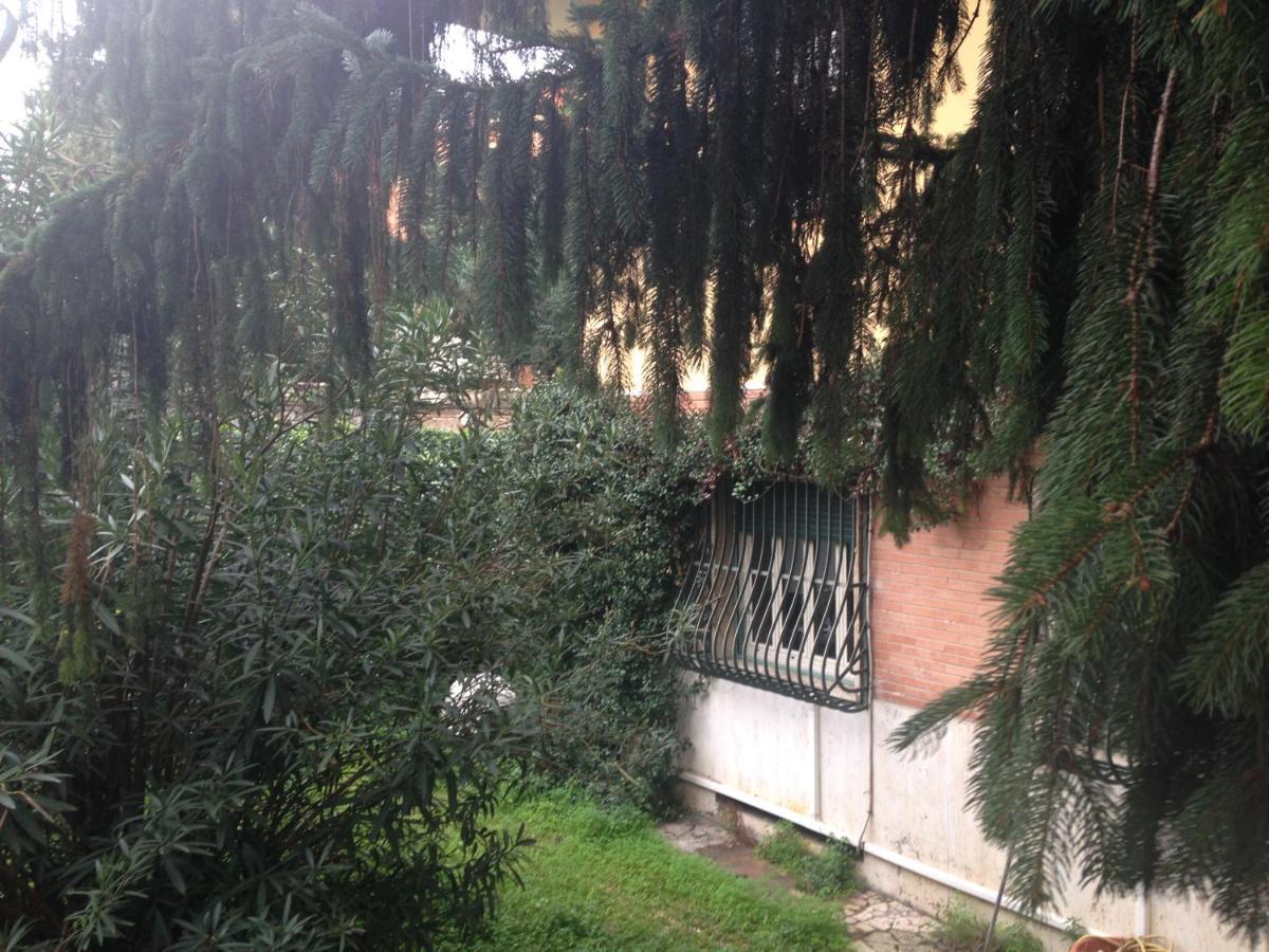 A Few Steps From Ada 8 Rome