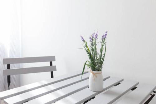 Domus Merulana Bed And Breakfast Bed & Breakfast Rome