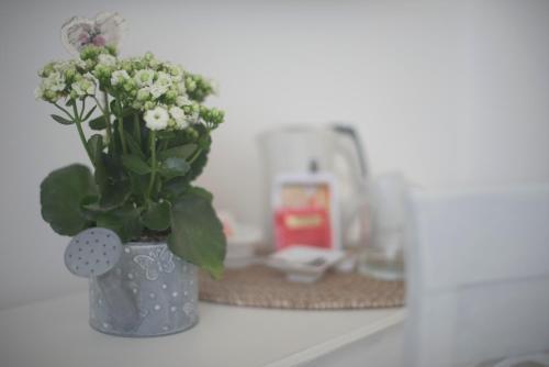 Attico Aurelio Bed & Breakfast