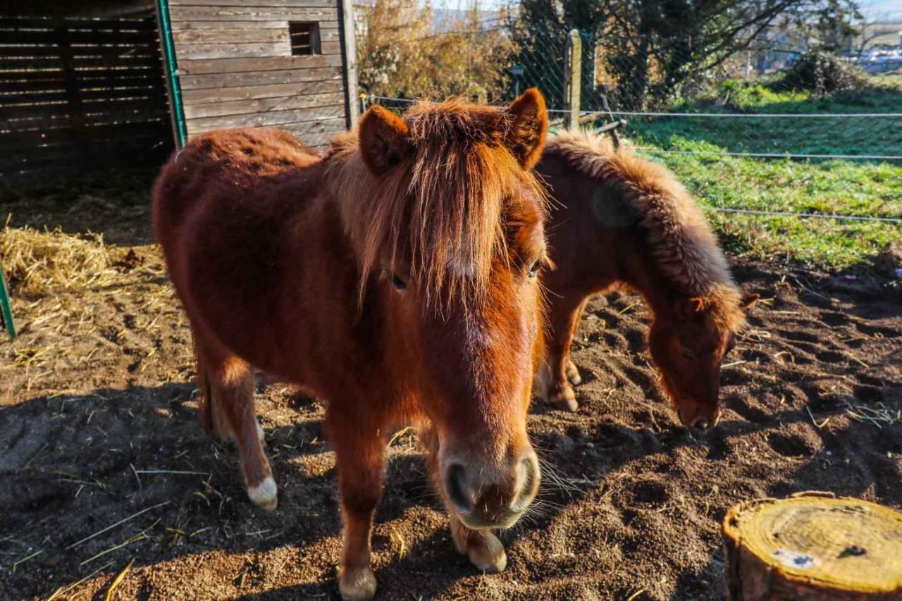 La Melazza Farm stay Rome