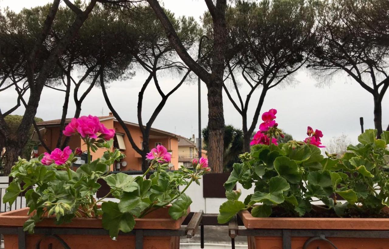 Aquarius * Roma