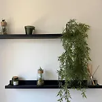 Domus I Cozy Apt -20 Min From Colosseum