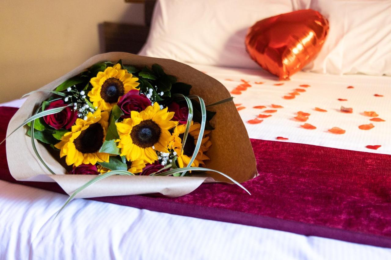 Cleopatra Guest house 3*