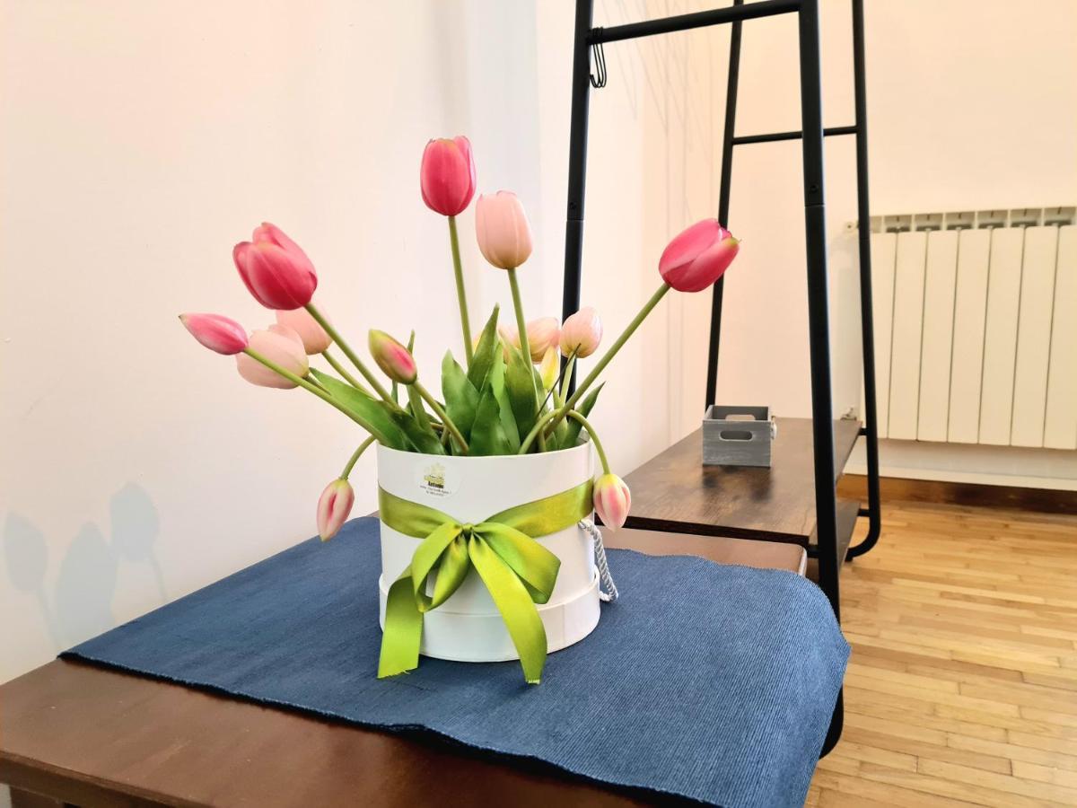 Apartment Flavel Colosseo *