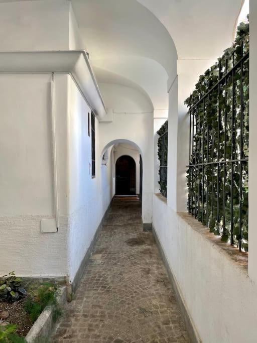 Lovely In Via Della Scala, Trastevere Apartment Rome