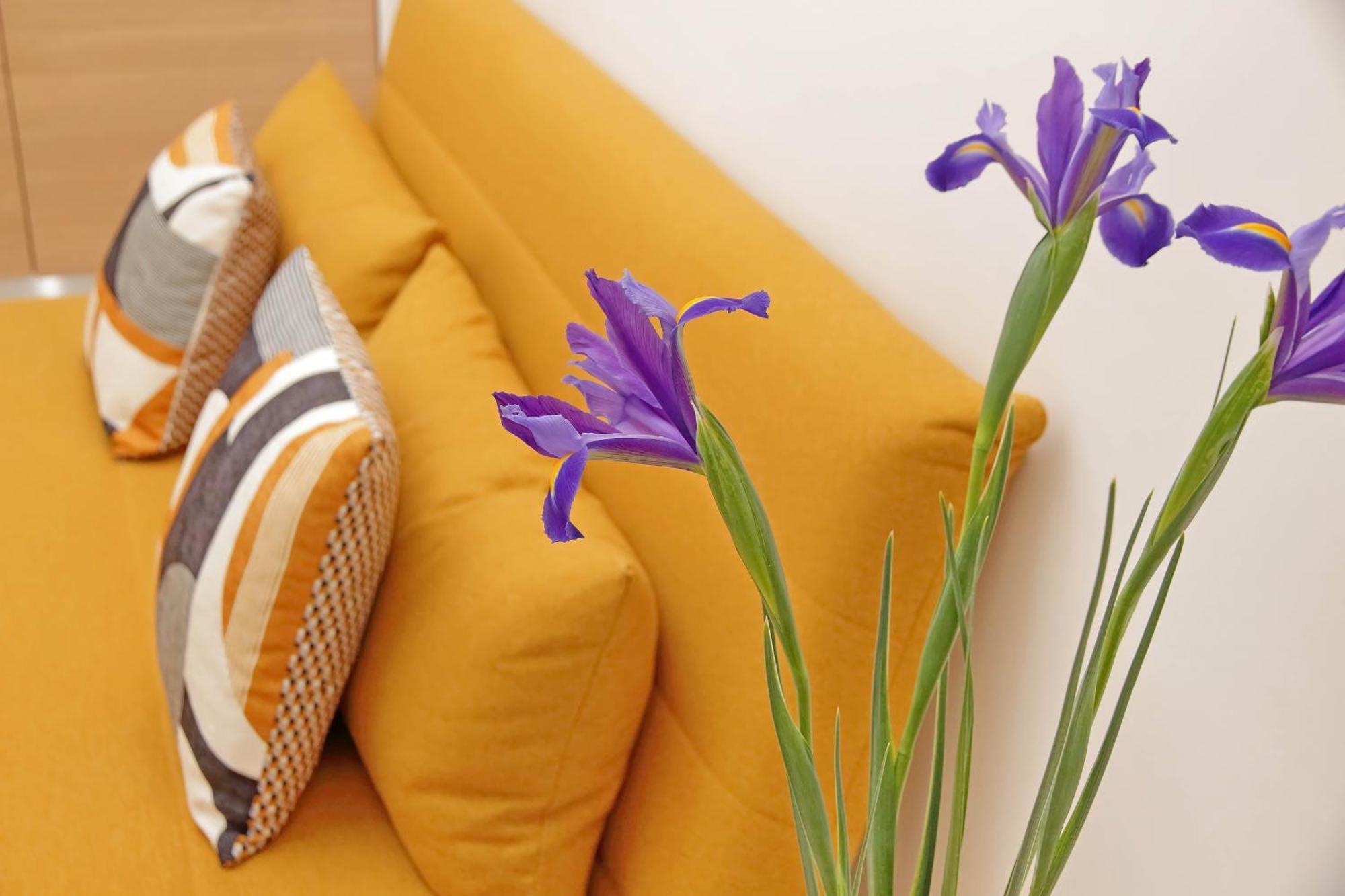 & Apartment Rome