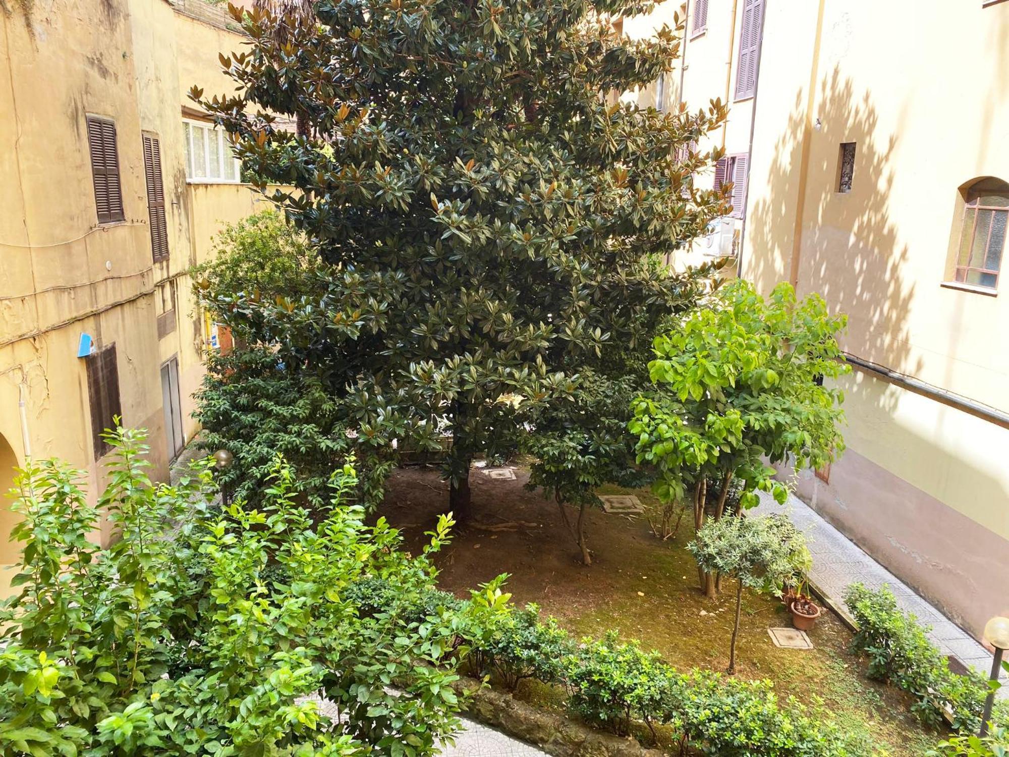 Apartment Germanico *