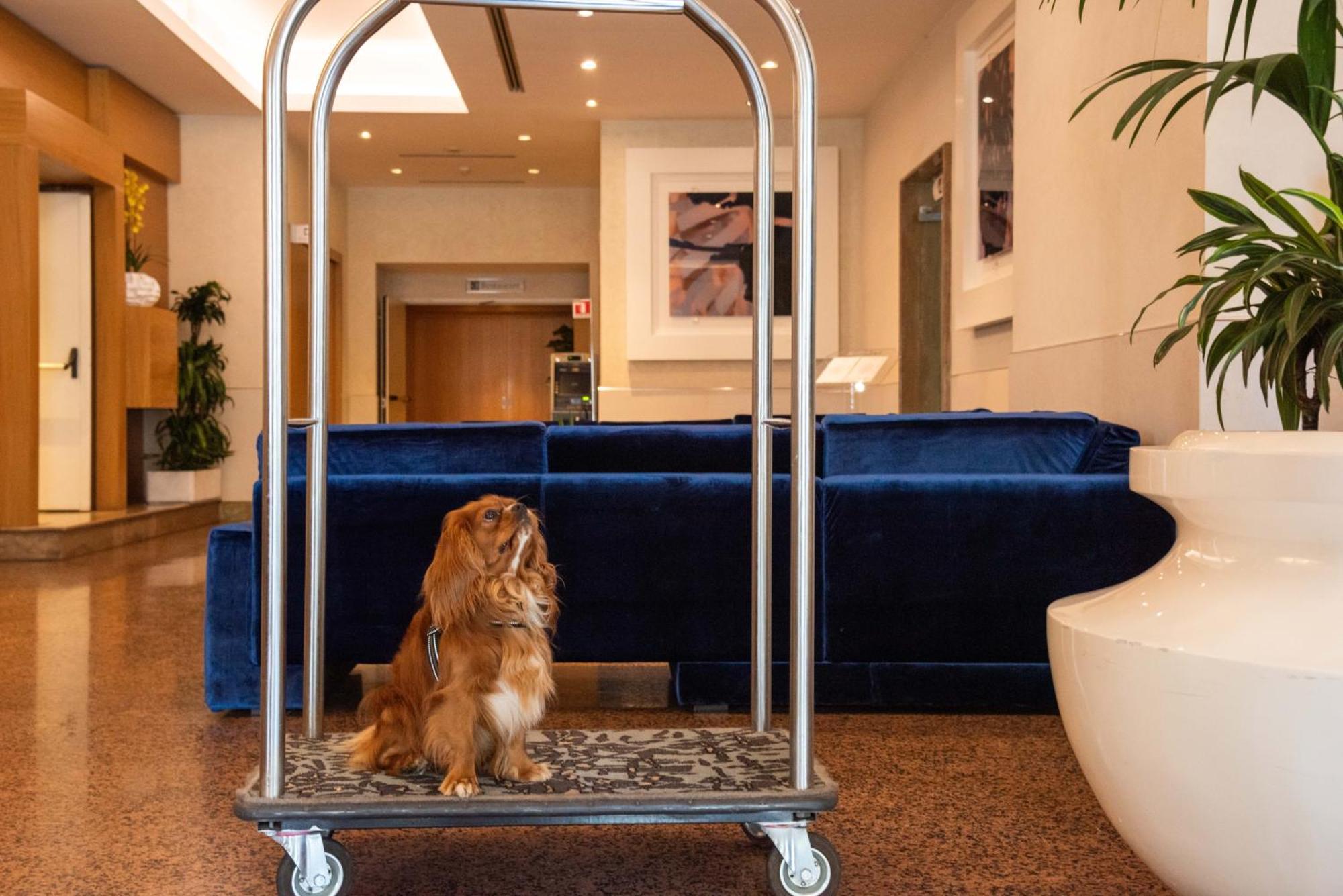 Hotel Western President - Colosseo Rome