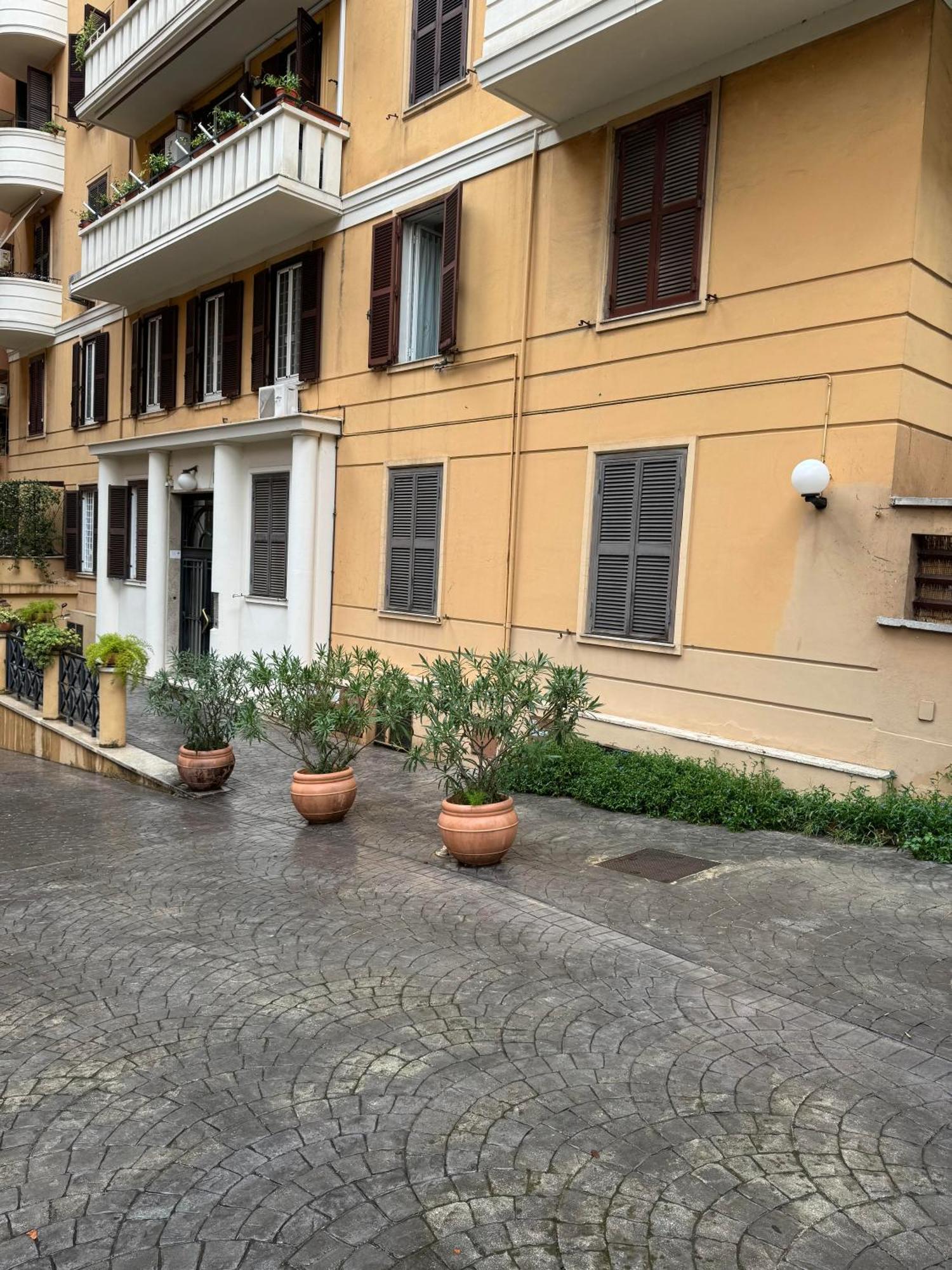 Zama Living Roma