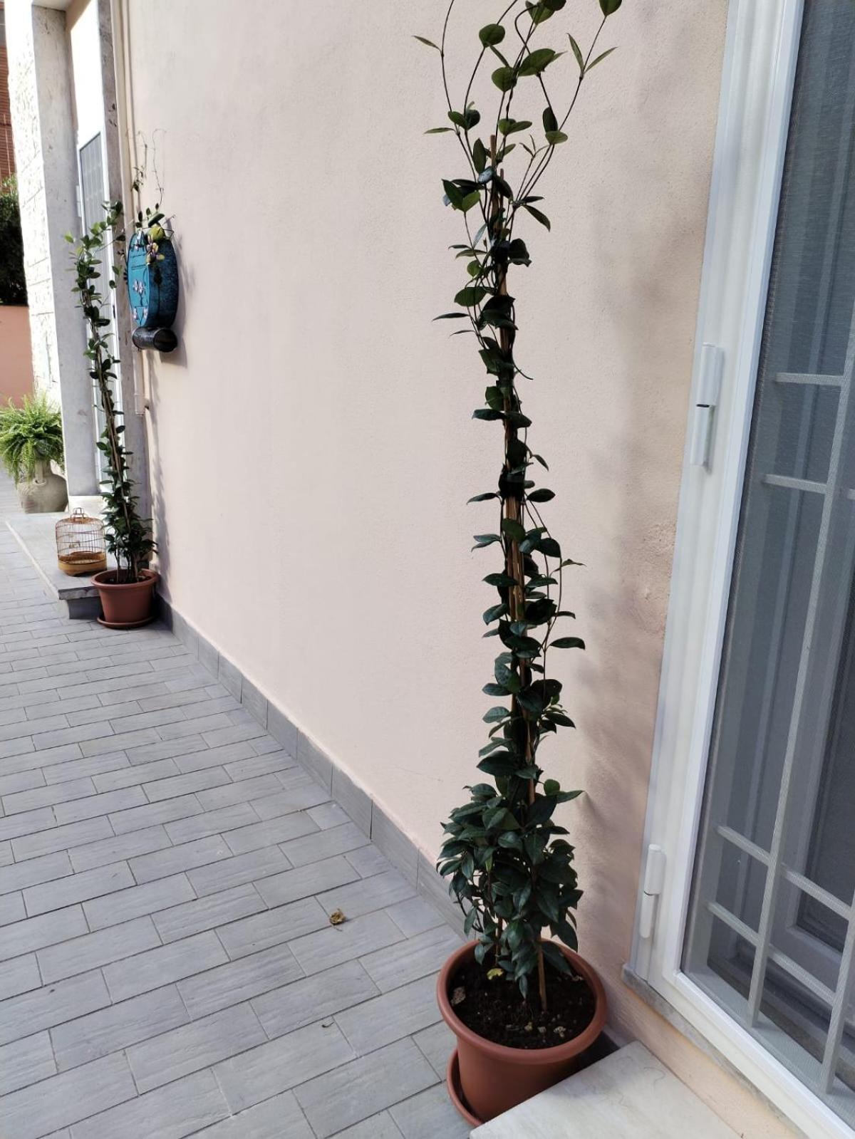 Stanza Del Principe Guest house