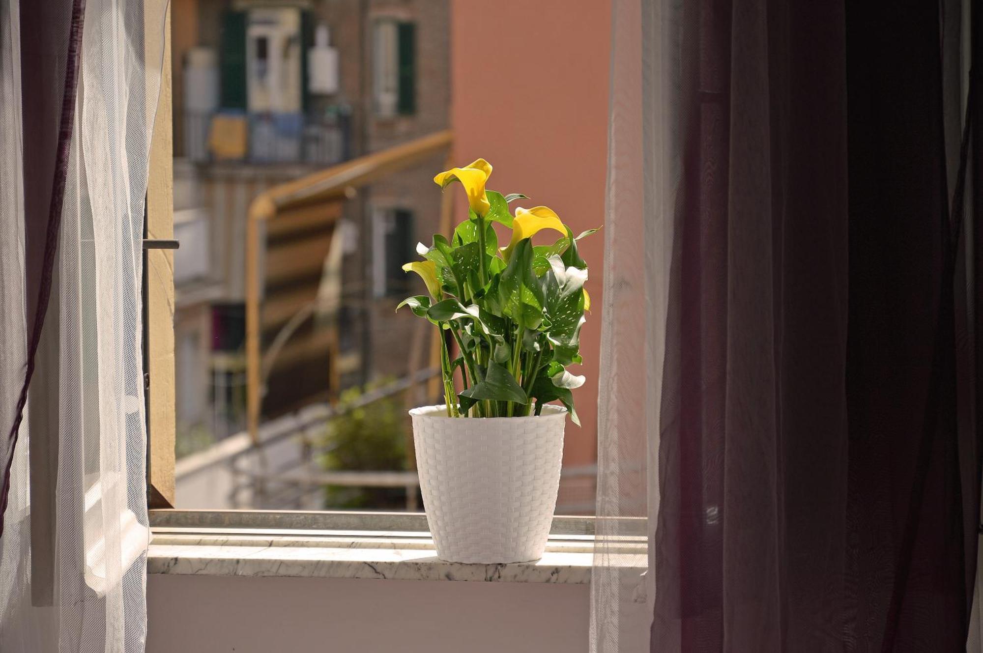 Casa Via Cesena Rome