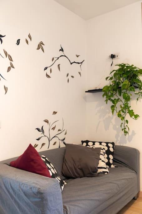 Living - San Paolo Roma
