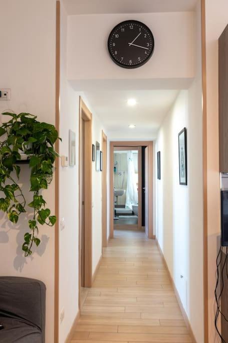 Living - San Paolo * Roma