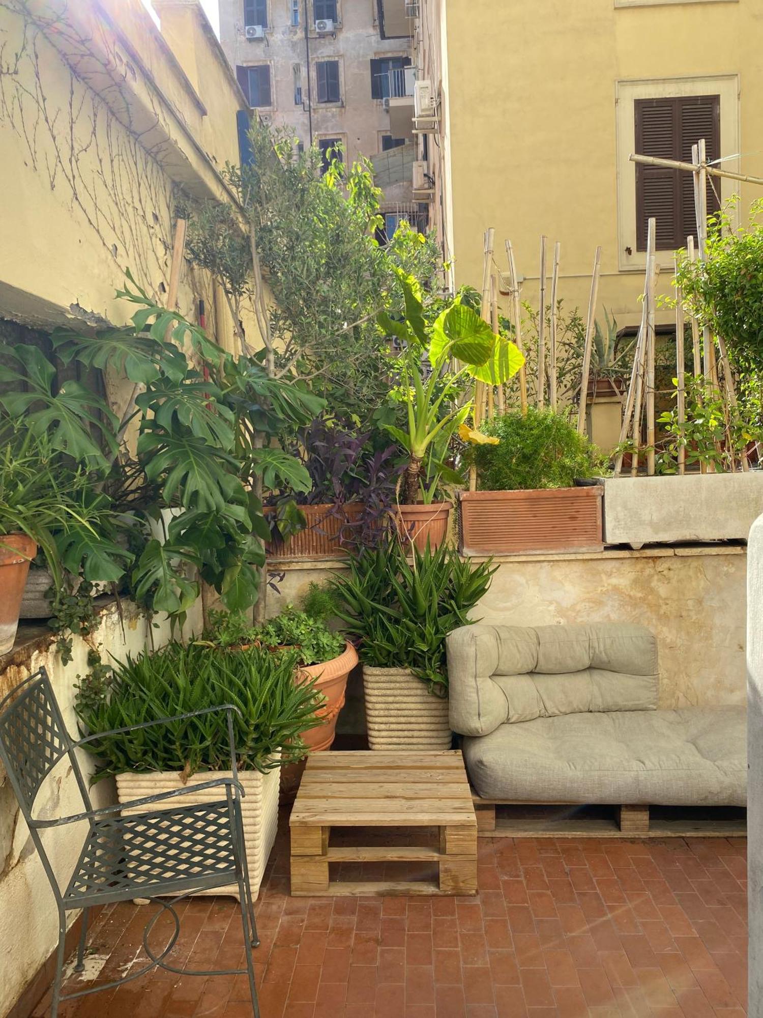 Il Plancton Guest house *