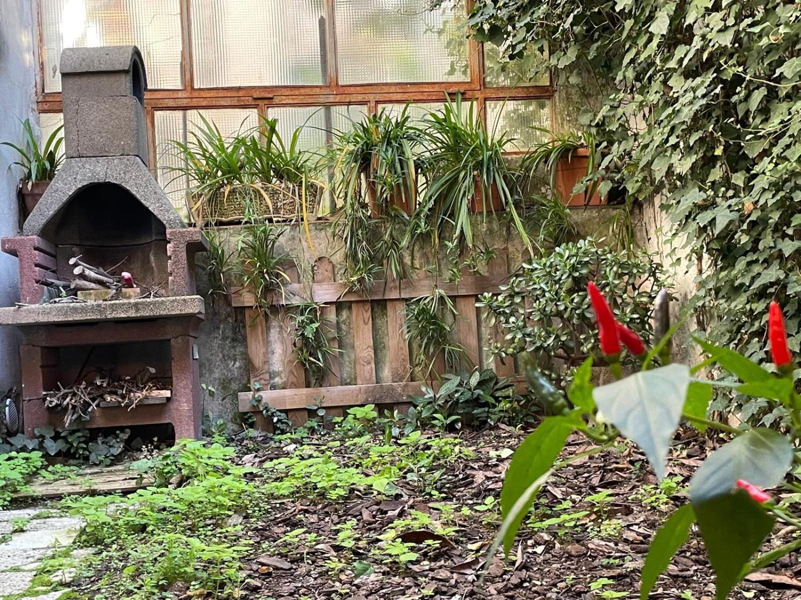 Il Giardino Di Frida Roma