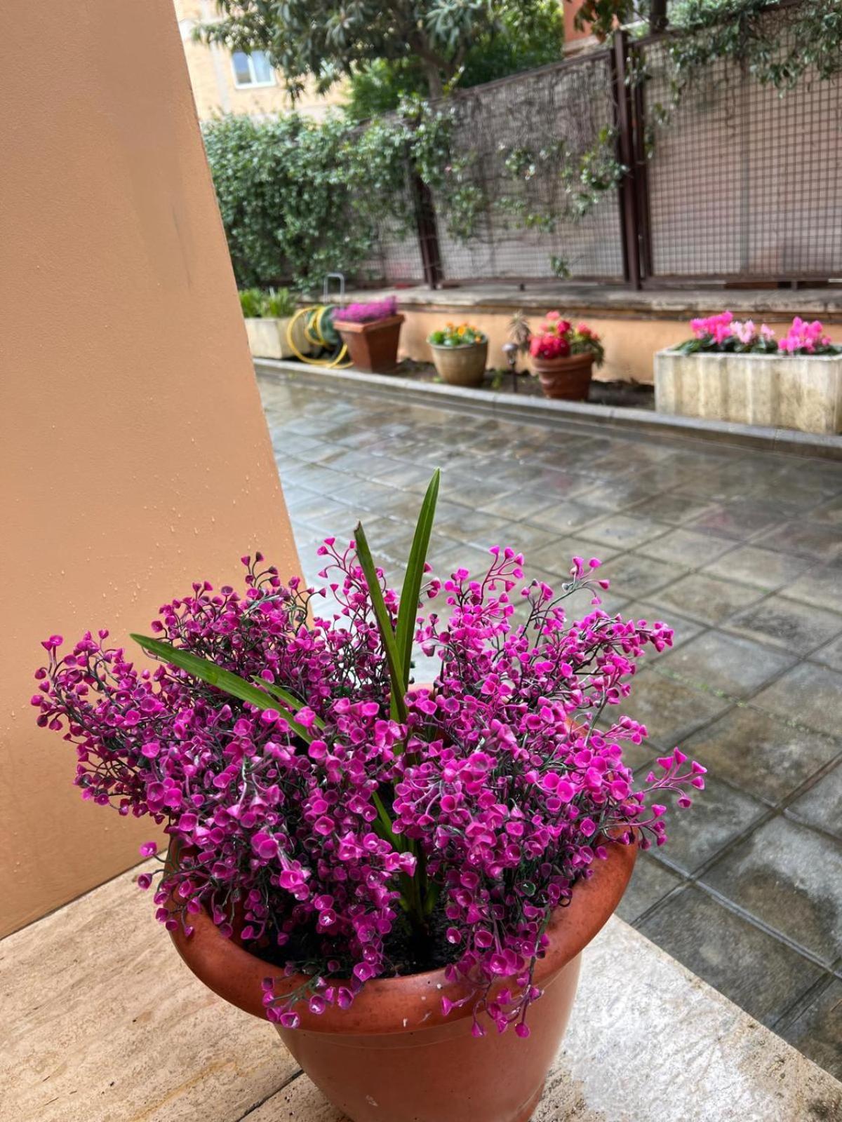 Dei Fiori Rome