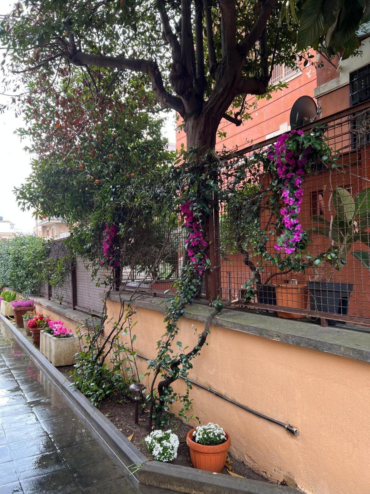 Dei Fiori * Rome