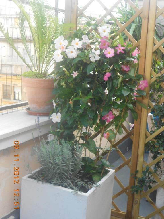 The Loft Guest house