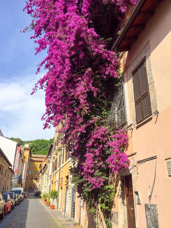 Appartamento Good Morning Trastevere Roma