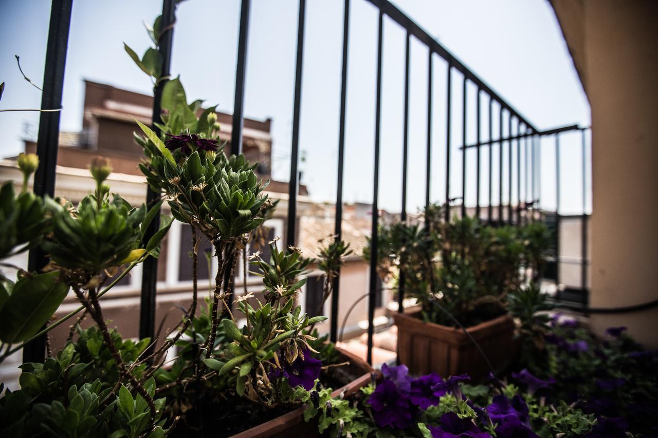 Hotel Grifo