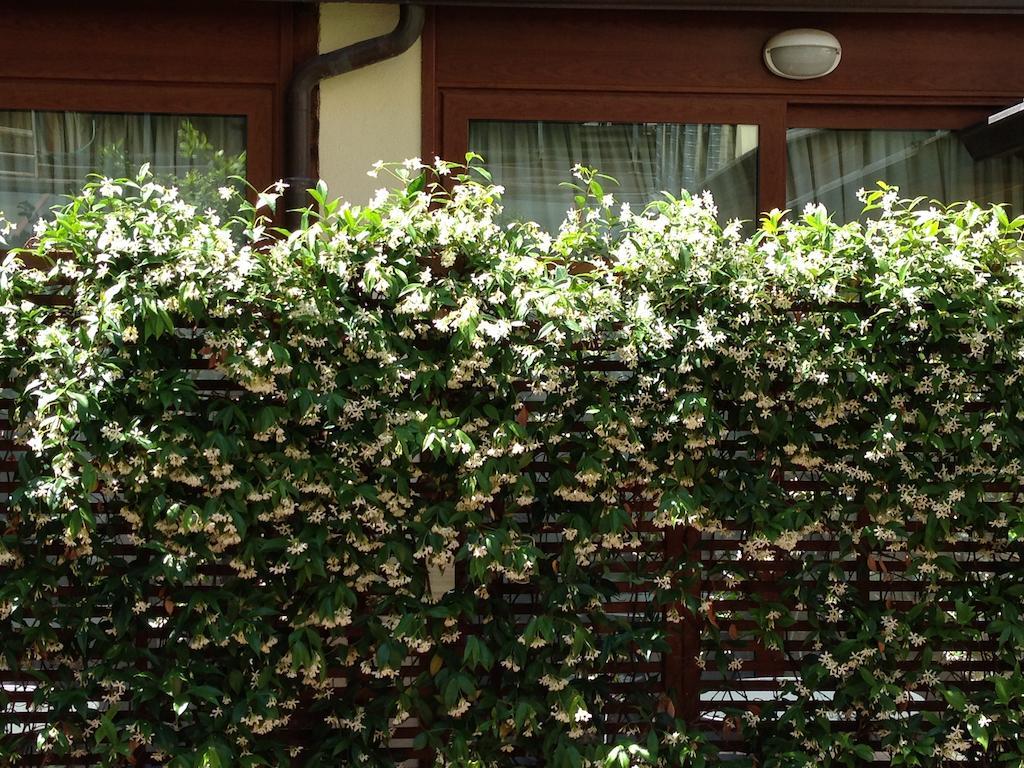Select Garden Hotel Rome