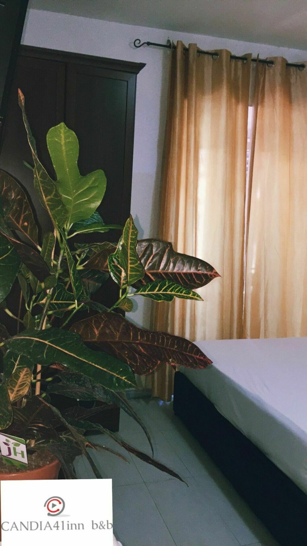 Candia41 Bed & Breakfast Rome