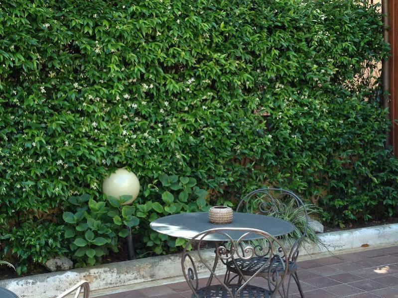 Select Garden Rome