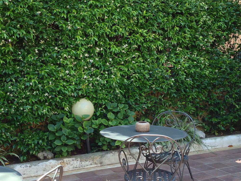 Select Garden Rome