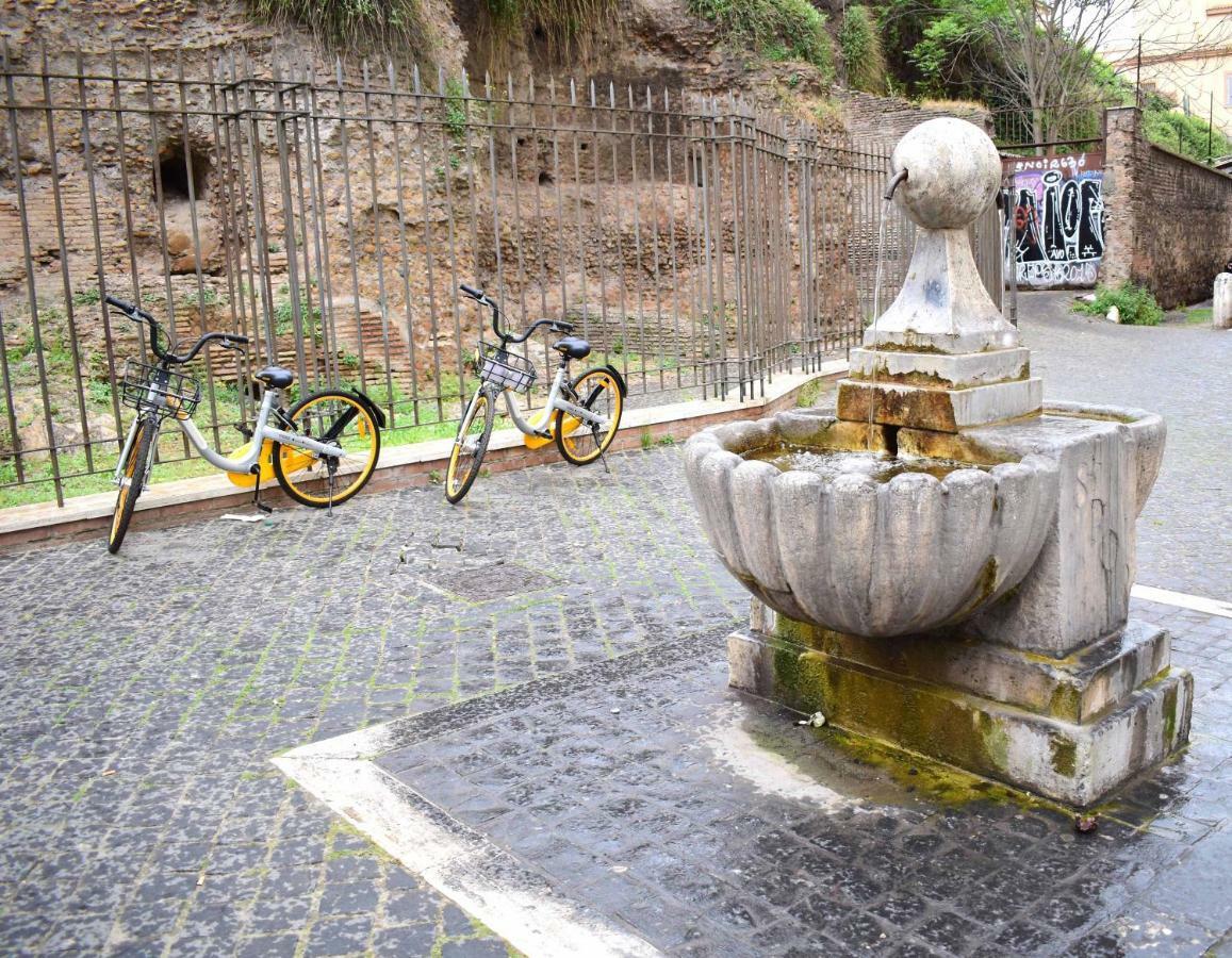 Le Rondini A Rome
