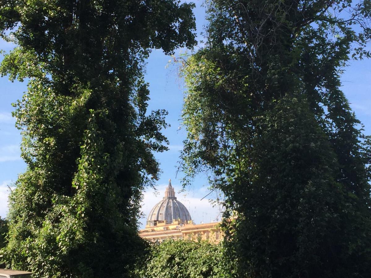 La Casetta Di Manu' A San Pietro * Rome
