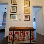 Amina\'S House Lab