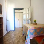 Sara Holiday House