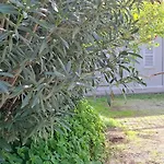 Altavilla Apartments Roma