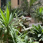Home Sweet Rome Vatican